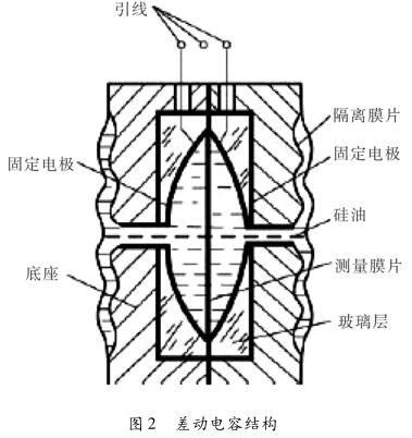 差压香蕉污视频在线观看